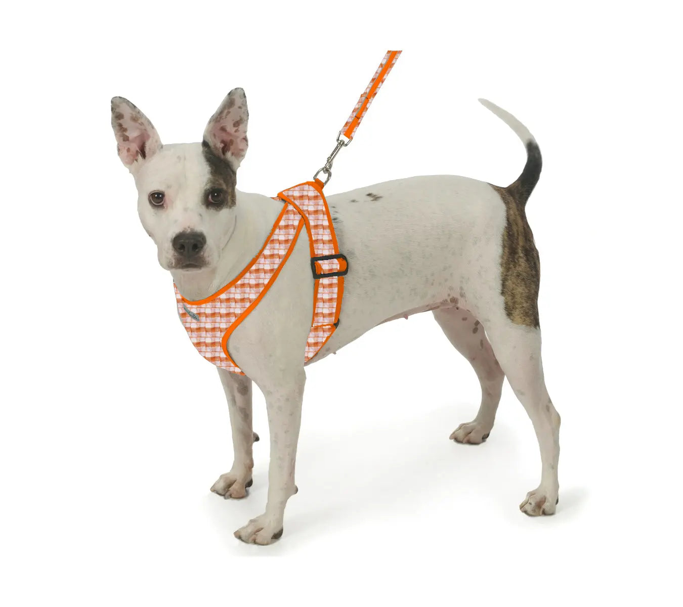 My Canine Kids | Cloak and Dawggie  Precision Fit Print Harness for Small Dogs Puppies