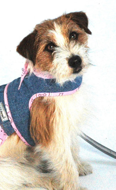 Denim Small Dog Harness with Pink Bandana Scarf Cloak and Dawggie for Teacup small dogs