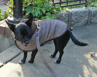Twill Flannel Teacup Warm Tiny Dog Winter Coat | 3 LBS to 8 LBS