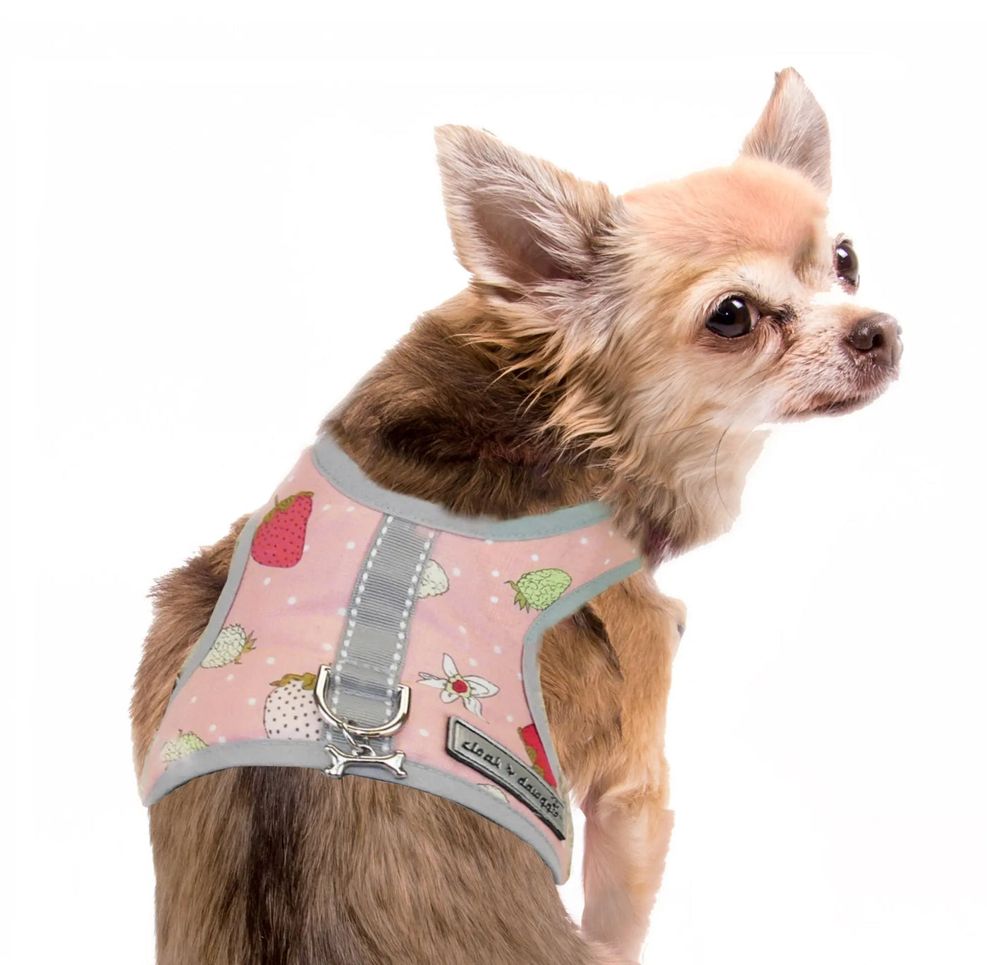 Pink Strawberry Teacup Harness Vest Chihuahua