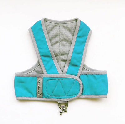 Nylon Step N Go Harness in Turquoise