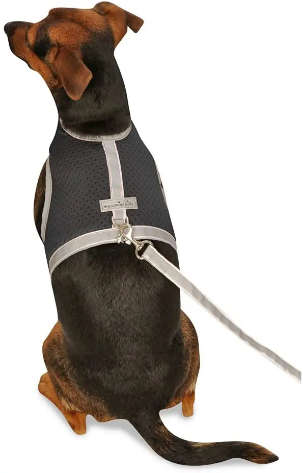 My Canine Kids Athletic Mesh Reflective Dog Harness