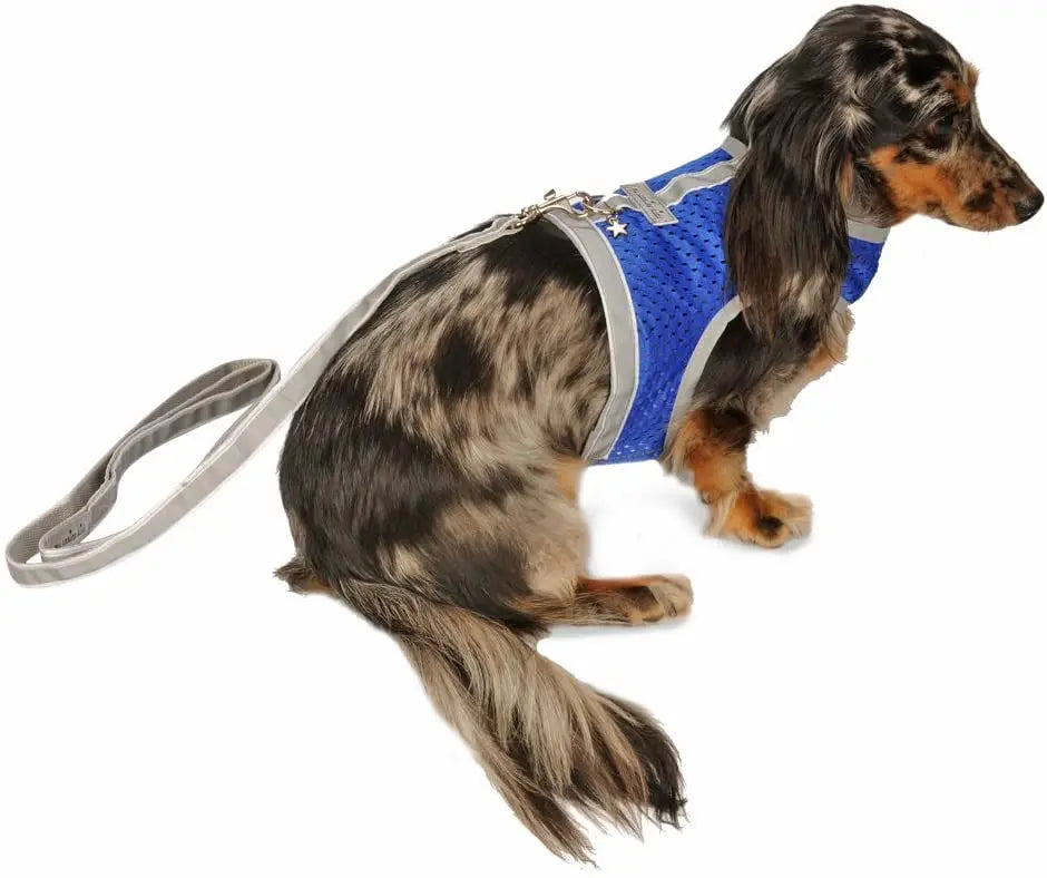 My Canine Kids Athletic Mesh Reflective Dog Harness Blue