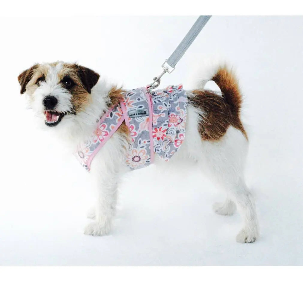 Step n Go Harness Dress for Dogs Pink Floral Print 4 LBS to 25 LBS - cloakanddawggie-mycaninekids