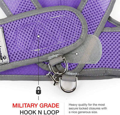 Classic mesh Step n Go harness in purple