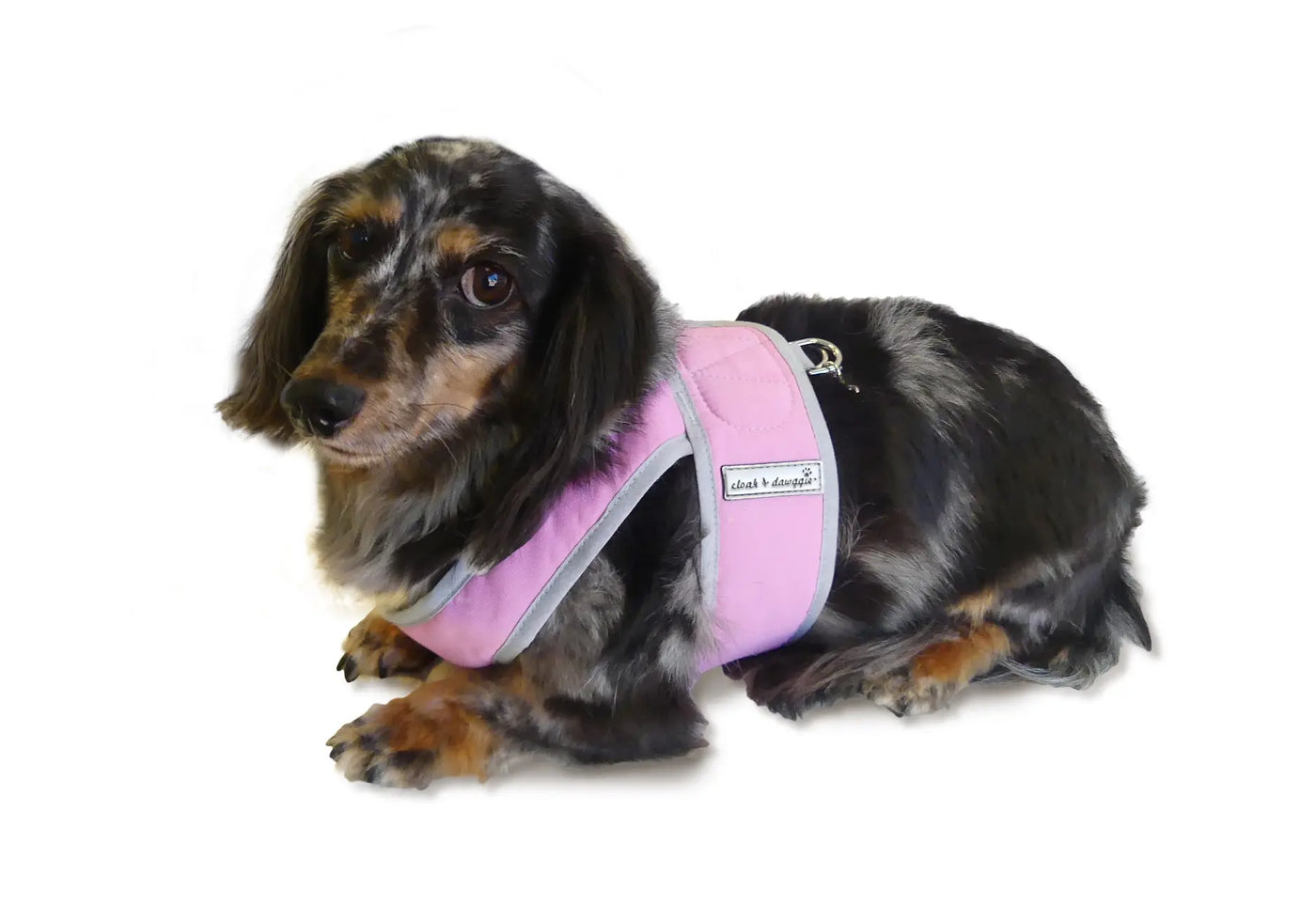Nylon Step N Go Harness in Pink Harness in Pink on doxie