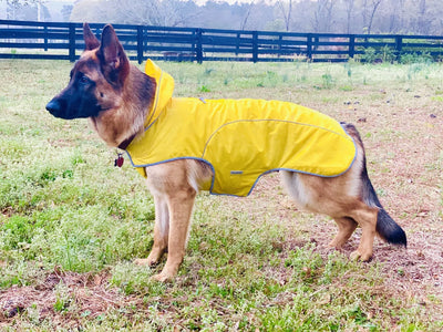 Yellow dog raincoat on german shepherd cloak and dawggie my canine kids