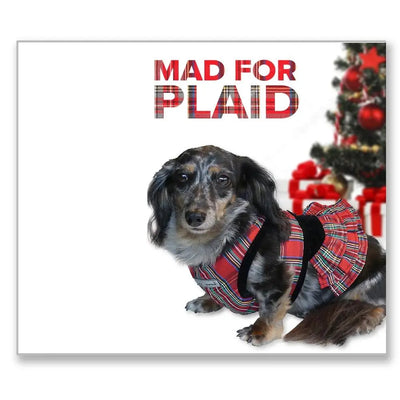 Holiday Tartan Plaid Step n Go - Step In Dog Harness No Buckle 6-25 LBS - cloakanddawggie-mycaninekids