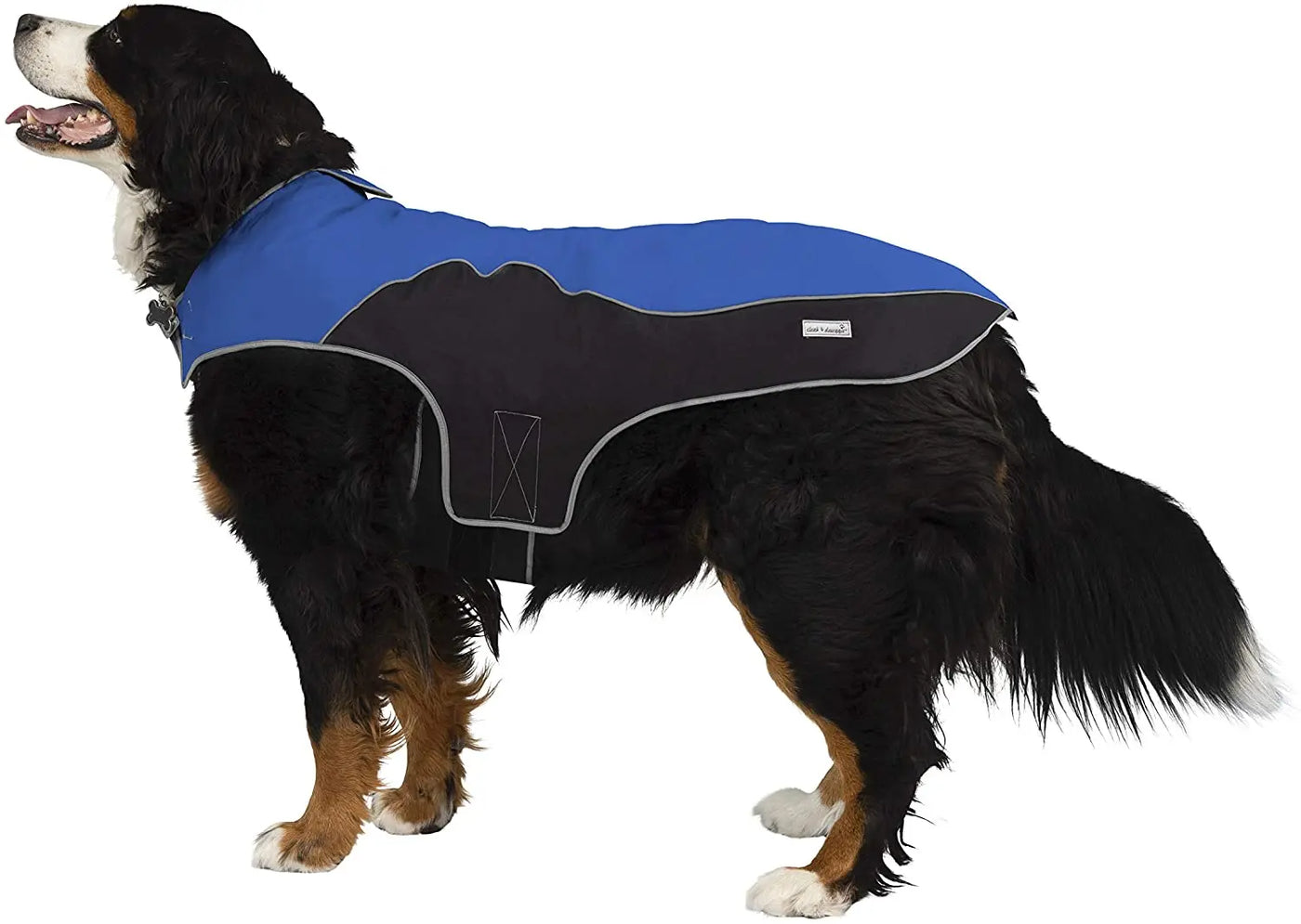 precision fit dog parka bi color royal/black - XXL Dog