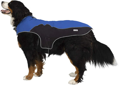 precision fit dog parka bi color royal/black - XXL Dog