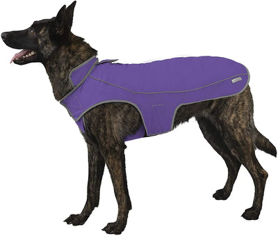 Precision Fit Dog Parka Purple