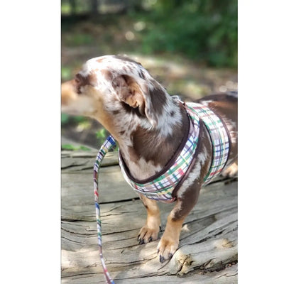 Step Easy Plaid Forest Friends Warm Fleece Lined Harness | 3 LBS to 20 LBS