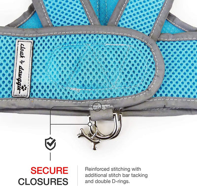 Classic mesh Step n Go harness in turquoise