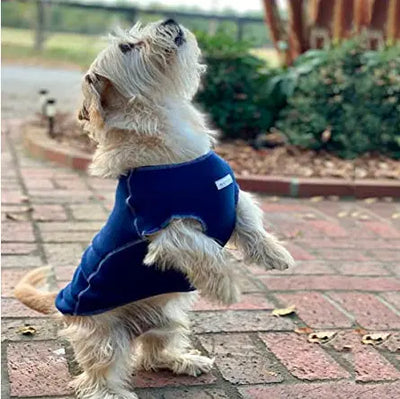 ultimate fleece dog sweater on small dog model
